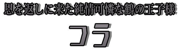 恩を返しに来た純情可憐な鶴の王子様「つう」